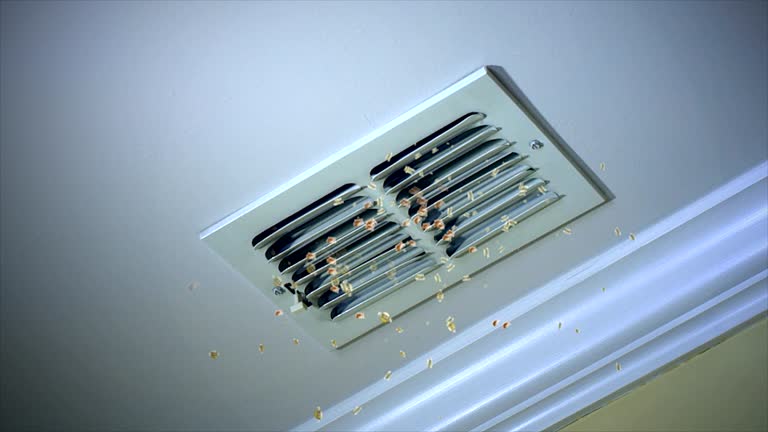 Best HVAC Air Duct Cleaning  in St Peters, MO