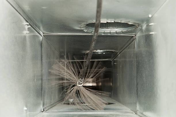 Best Dryer Vent Cleaning Services  in St Peters, MO