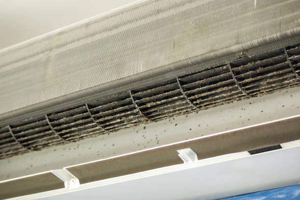 Best Air Duct Cleaning Near Me  in St Peters, MO